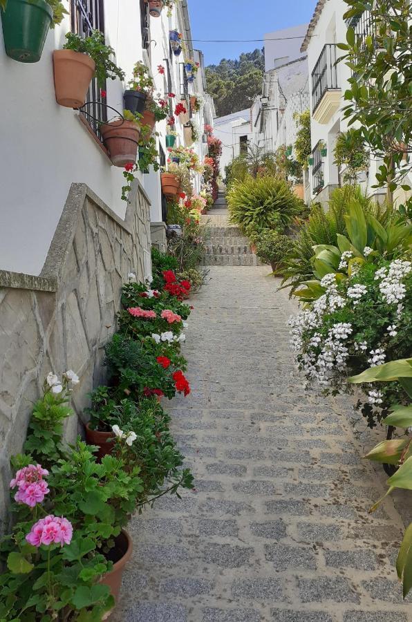 Casa De Las Flores - A Picture Perfect Location! El Gastor Extérieur photo