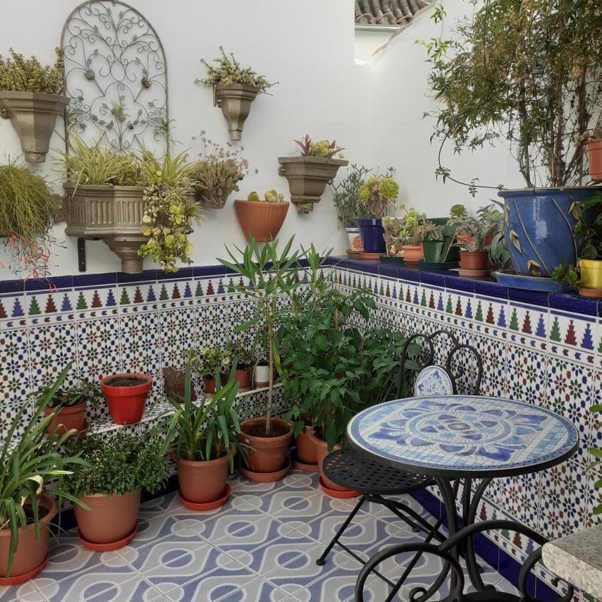 Casa De Las Flores - A Picture Perfect Location! El Gastor Extérieur photo