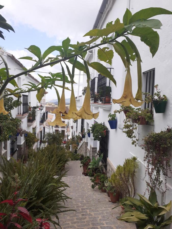 Casa De Las Flores - A Picture Perfect Location! El Gastor Extérieur photo